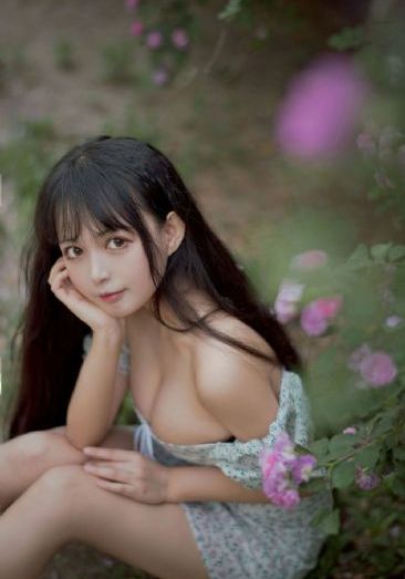 礼仪老师在线观看