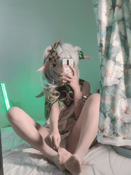 枫与铃樱花