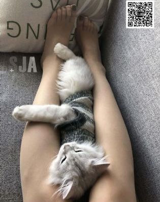 色戒伦理