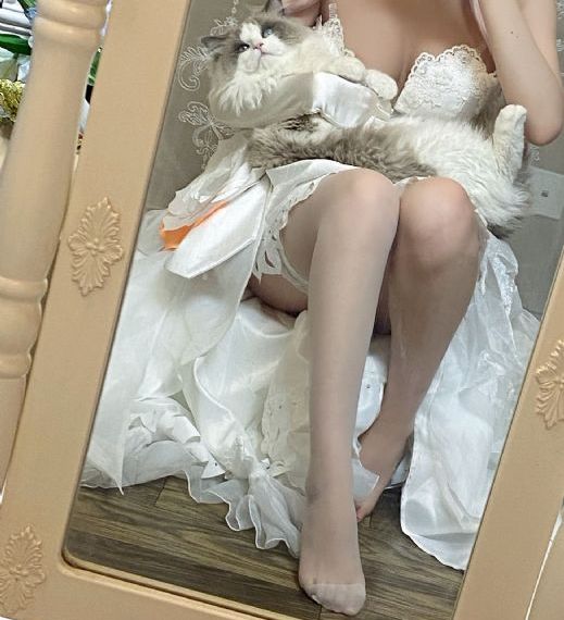 免费看电视剧高清
