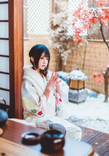 租个女友回家过年 电视剧