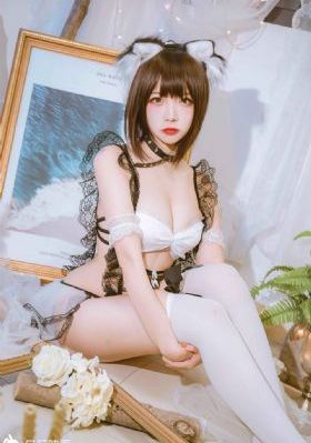 后宫露营樱花